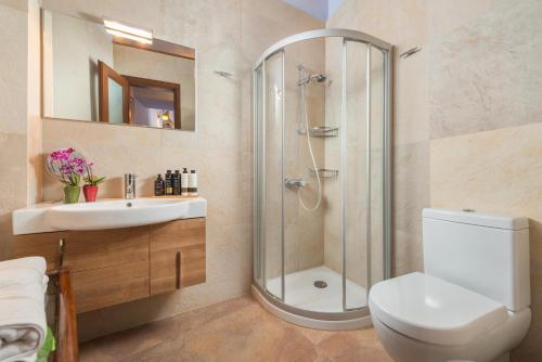 a bathroom with a shower and a toilet and a sink at Residenza Maria Lindos Villa in Lindos