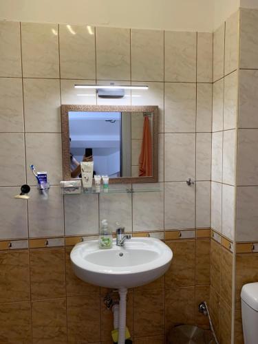 ラズロクにあるMountain Viewの洗面台、鏡、トイレ付きのバスルーム
