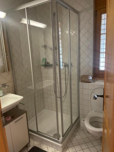 a bathroom with a shower and a toilet at Charme assuré in Crans-Montana