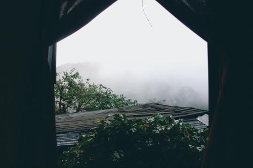 a view from a window of a house with a roof at Cú Trên Cây Homestay in Xuan An