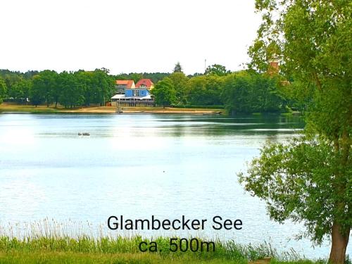 a picture of a lake with a house in the background at Ferienwohnung Sylvia in Neustrelitz