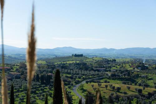 a view from the top of a hill with trees at La Casa di Marco, holidays, sea and nature in Montiano