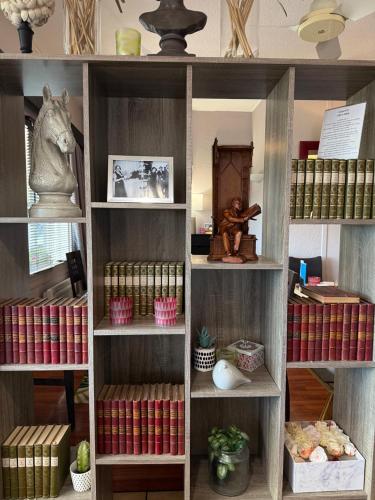 a book shelf filled with lots of books at Brit Hotel Besancon l'Horloge in Besançon