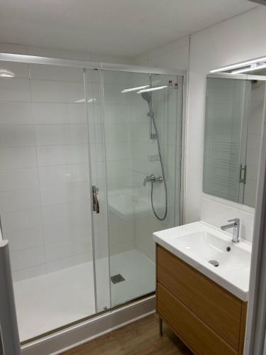 une salle de bain avec douche et lavabo dans l'établissement Appartement centre ville avec place de parking privée et balcon, à Montauban