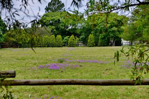 a field with purple flowers in the grass at Owls Loft Guest House in Midrand