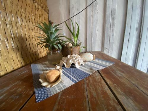 a wooden table with seashells and a plant on it at CocoHuts in Koh Rong Sanloem