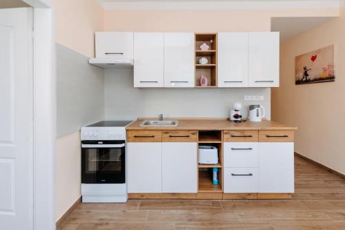 Η κουζίνα ή μικρή κουζίνα στο Apartments TGM 11