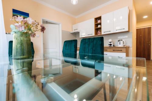 Η κουζίνα ή μικρή κουζίνα στο Apartments TGM 11
