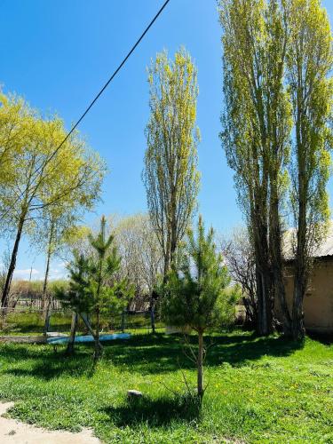 Gallery image of Sanera Bega Guesthoise in Bash-Kayyngdy