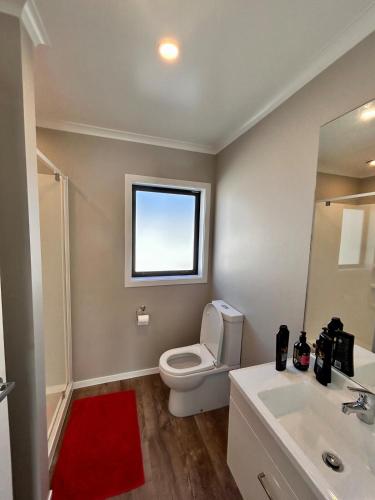 a bathroom with a toilet and a sink and a mirror at The heart of Palmerston North in Palmerston North