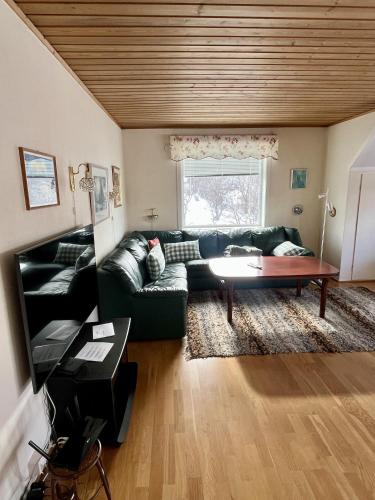 a living room with a green couch and a table at Budget apartment in Gravdal in Gravdal