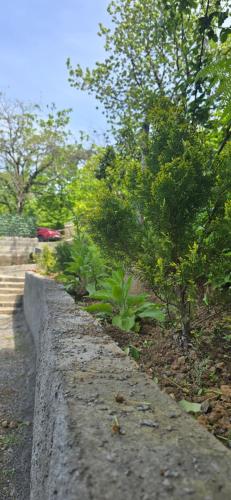 Gallery image of Sani's twins cottege in Batumi