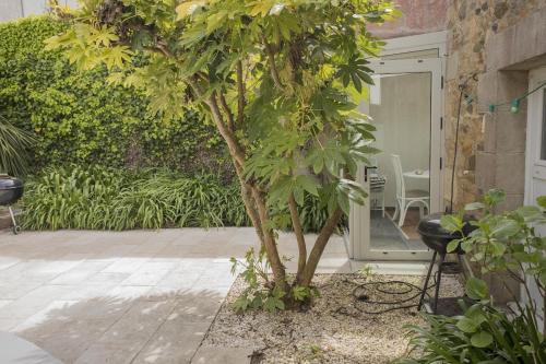 Κήπος έξω από το Large house 80m from the port of Paimpol