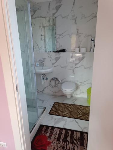 a bathroom with a shower and a toilet and a sink at Locazione turistica 2 in Tessera