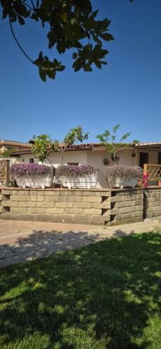 Casa DanteMini casa Fiera di Roma Piana Del SoleRm Fiumicino photo 71