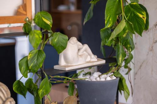 a plant in a pot next to a plant at Penthouse FRANITA 50 meters from the beach in Kaštela