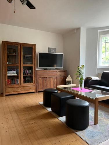 a living room with a tv and a coffee table at Ferienwohnung Weintraube in Dresden