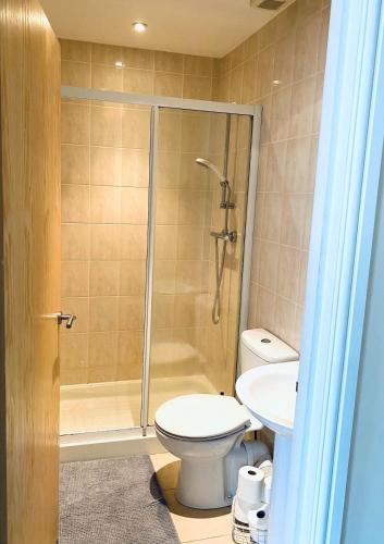 a bathroom with a shower and a toilet and a sink at Modern, spacious surf retreat in a prime location in Newquay