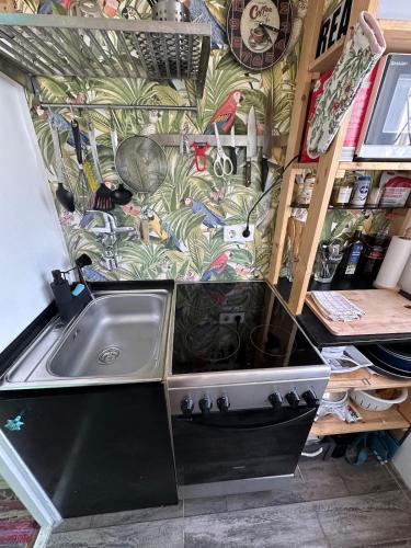 a kitchen with a sink and a wall with plants at Bohemian Holiday House in Siófok