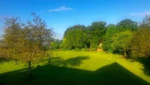a green field with a tree in the middle at Ferienwohnung Wiesenblick in Geldern