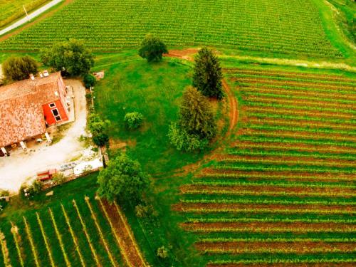 an aerial view of a house in a field at MASARI ALLA CASA ROSSA Vineyard guest house in Brogliano