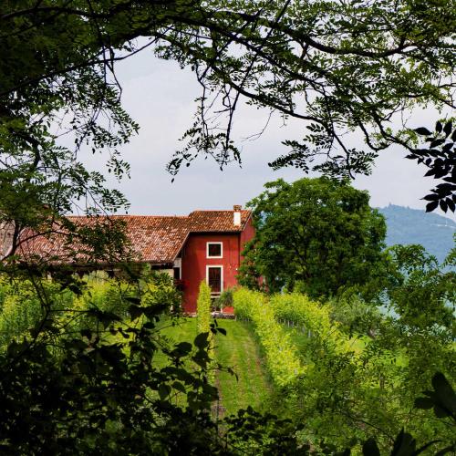 a red house in the middle of a field at MASARI ALLA CASA ROSSA Vineyard guest house in Brogliano