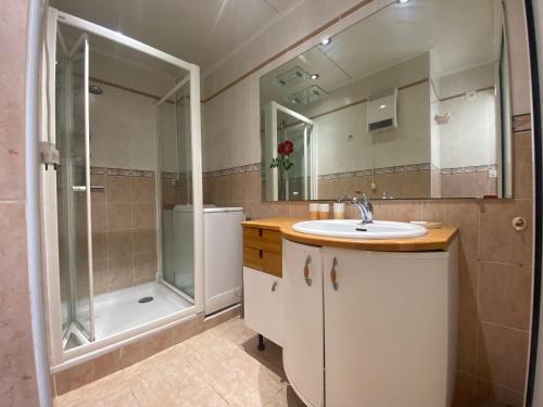 une salle de bain avec un lavabo et une douche dans l'établissement PORT CAMARGUE – BEL APPARTEMENT CLIMATISÉ AVEC VUE MER, TERRASSE PARKING – 4 PERSONNES, au Grau-du-Roi