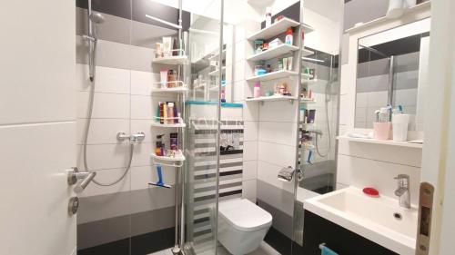 a bathroom with a shower and a toilet and a sink at Beach Garden Terrace Njivice in Njivice