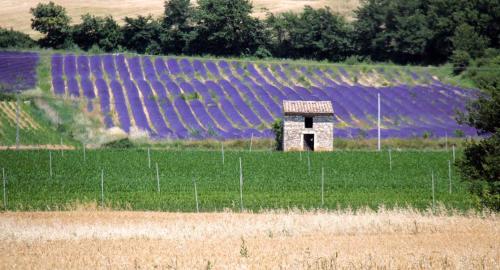 a field with a building in the middle of a purple field at La Colombière - Vue imprenable sur l'Ardèche - Très Calme - Très bien situé - Résidence Privée in Montélimar