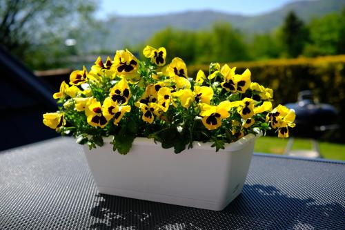 a white vase filled with yellow flowers on a table at Pyramida pod Lysou s vířivkou in Frýdlant nad Ostravicí