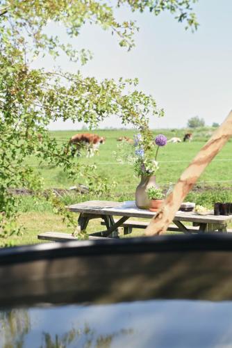 a picnic table with a vase of flowers on it at Smûk Fjildhuske in Echtenerbrug