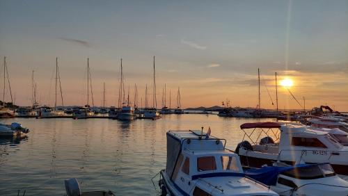 a group of boats docked in a marina at sunset at Apartmani Stipe in Drage
