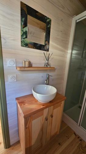 une salle de bain avec un lavabo blanc et une douche dans l'établissement Roulotte domaine Farigoule, à Baron