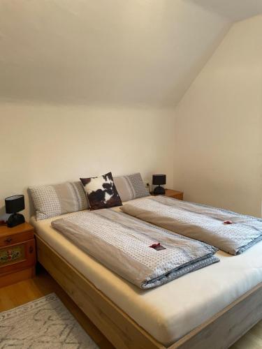 a bedroom with two beds in a room at Alpakas, Lamas und Rentiere zum Grünen See in Grossdorf