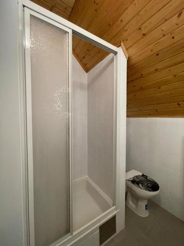 a shower in a bathroom with a toilet at Alpakas, Lamas und Rentiere zum Grünen See in Grossdorf