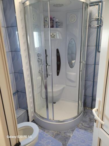 a shower in a bathroom with a toilet at Casa OPRIȚA in Hobiţa Grădişte