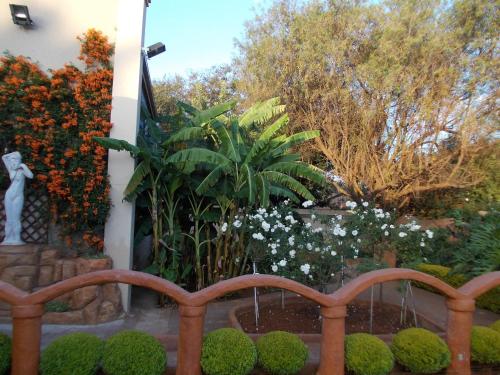 a garden with white flowers and a fence at Homestay Travel Guest House in Roodepoort