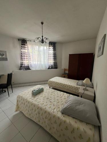 une chambre avec deux lits et une fenêtre dans l'établissement residence la Source, à Lamalou-les-Bains