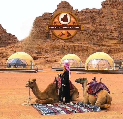 a woman sitting on a blanket next to two camels at RUM ROZA BUBBLES lUXURY CAMP in Wadi Rum