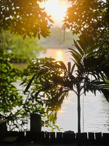 a palm tree in front of a body of water at Water's Edge Villa in Ahangama