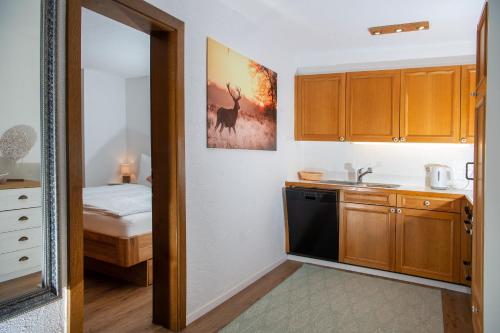 a kitchen with a sink and a dishwasher at Davos Lai Valbella-Lenzerheide in Lenzerheide