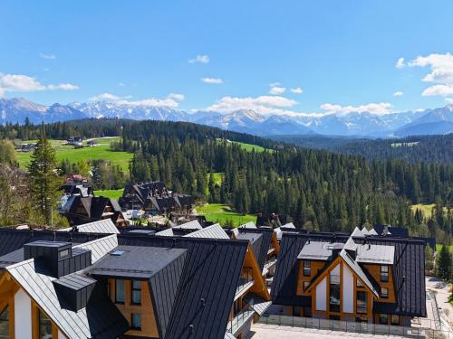 an aerial view of a town with mountains in the background at Apartamenty Aries Residence Bukowina in Bukowina Tatrzańska
