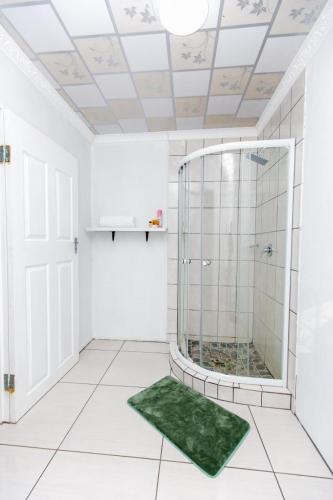 a bathroom with a shower and a green rug at Salush Guest House in Mtubatuba