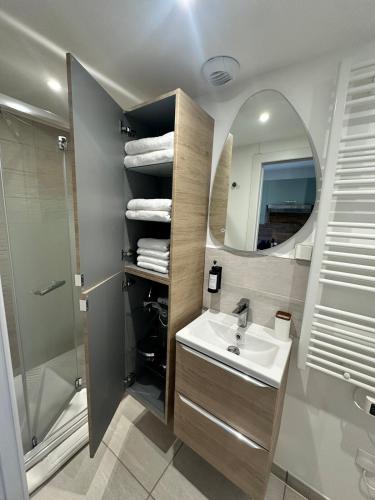 une salle de bain avec un lavabo, une douche et un miroir dans l'établissement Mignon Appart Moderne et neuf, à 30min du Lux et pour 4pers, à Bertrange