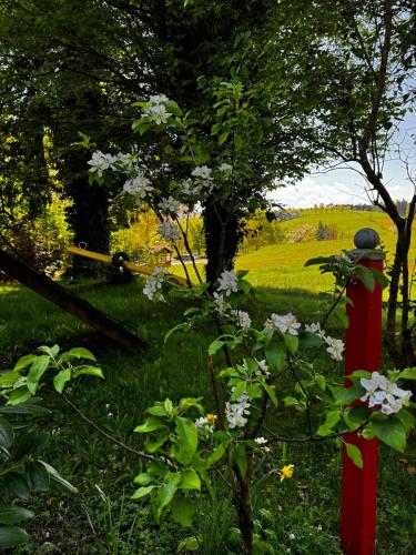 a red fire hydrant in the grass with flowers at Hotel zum Kreuz in Sankt Peter