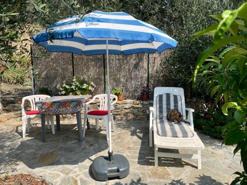 a table and chairs with an umbrella and a cat sleeping on a chair at Piccola Navetta in Diano San Pietro