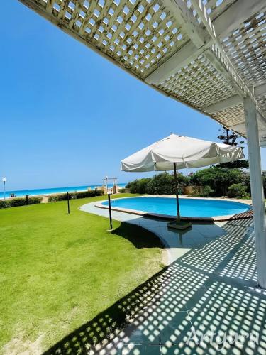 صف اول على البحربوضوح جدا