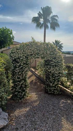 un bâtiment couvert de lierre avec un palmier en arrière-plan dans l'établissement Appartement maison copropriété, à Tourbes