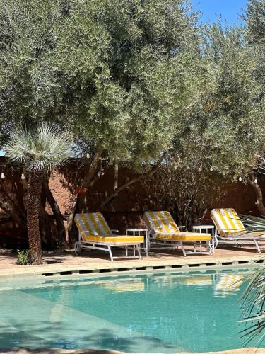Bazén v ubytování Maison chaliya bohochic guesthouse nebo v jeho okolí