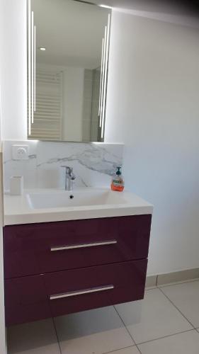 a bathroom with a sink and a mirror at Gîte Lann Er Viline in Camors